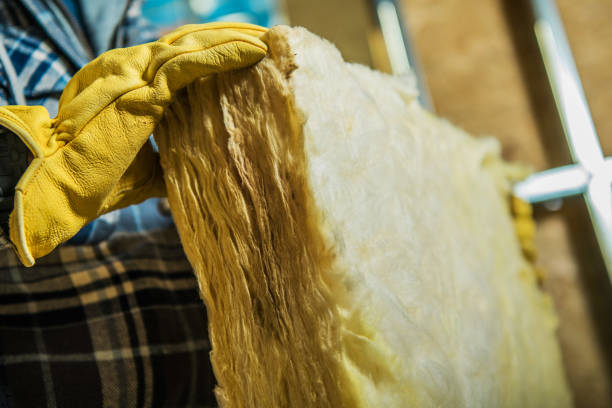 Best Insulation Contractors for Homes  in Reinholds, PA