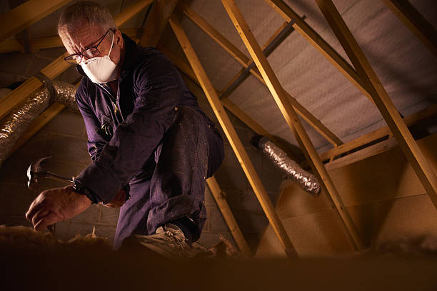 Best Crawl Space Insulation  in Reinholds, PA